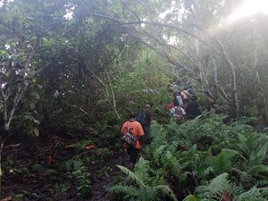 Begini Beratnya Evakuasi 3 Orang di Hutan Malut Diduga Dibunuh Suku Togutil Begini Beratnya Evakuasi 3 Orang di Hutan Malut Diduga Dibunuh Suku Togutil