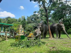 7 Tempat Wisata Edukasi di Jogja, dari Membuat Gerabah hingga Petik Buah