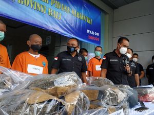 BNNP Bali Tangkap Surfer-Musisi Diduga Pengedar, 30 Kg Ganja Disita