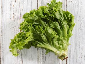 Praktis! Begini Cara Menyimpan Selada Supaya Awet 1 Bulan