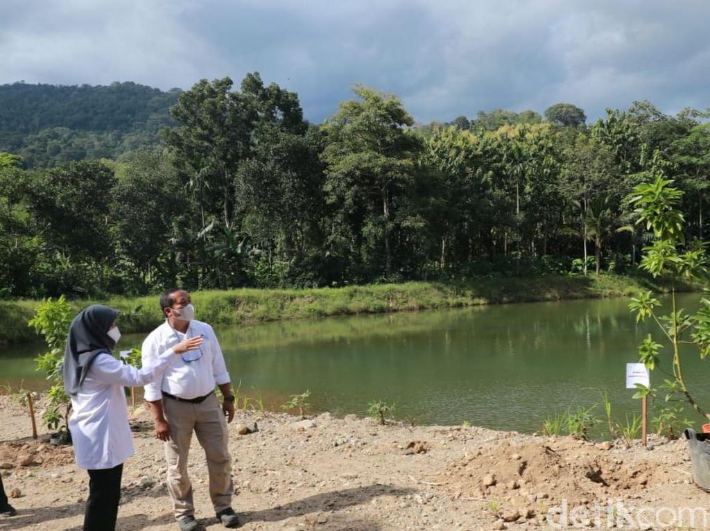 Dam Kali Kawat Banyuwangi Kembali Airi Sawah Setelah Mangkrak 20 Tahun