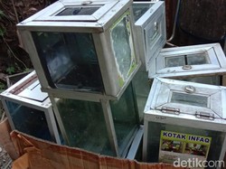 Salurkan Kotak Amal ke Organisasi Teroris, Ketua Yayasan Ini Dibui 5 Tahun