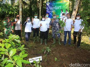 Banyuwangi Kampanye Tanam Pohon Berdaya Serap Tinggi Jaga Sumber Mata Air