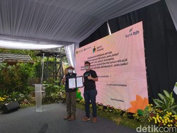 Petani Milenial Jabar Mulai Budidayakan Lebah Madu Trigona Itama