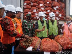 Ratusan Ton Jahe Impor Dimusnahkan Karena Terkontaminasi Cacing Gelang