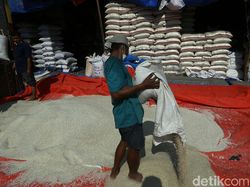 Napak Tilas: Wabah Pes dan Pertama Kali Indonesia Impor Beras