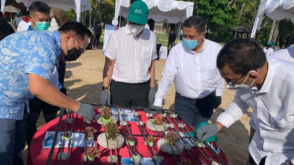 Dorong Konservasi Terumbu Karang