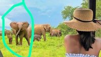 Terlalu Banyak Diedit Photoshop, Deretan Foto Ini Malah Ketahuan Palsu