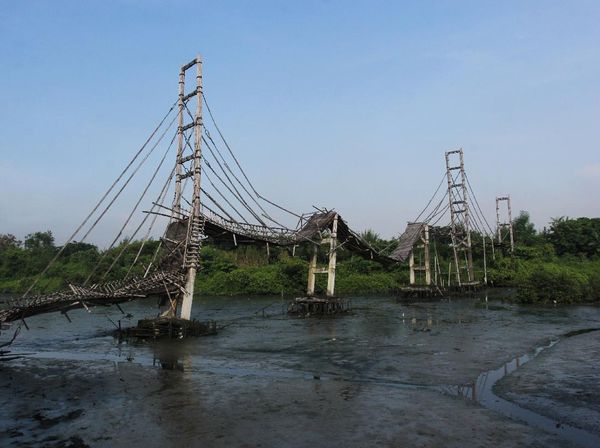 Jembatan Bambu di Ekowisata Mangrove Wonorejo Rusak