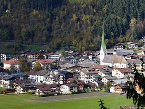 Kayu, Bahan Bangunan Mewah yang Ramah Lingkungan