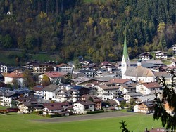Kayu, Bahan Bangunan Mewah yang Ramah Lingkungan