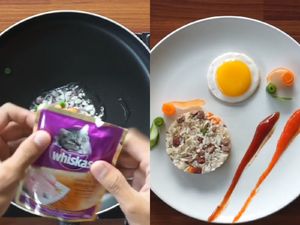 Inspirasi Chef Tiarbah Masak Darurat Saat Bikin Nasi Goreng Whiskas