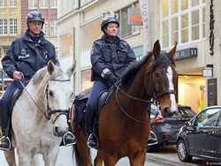 Polandia Rencana Beri Uang Pensiun untuk Anjing dan Kuda Patroli