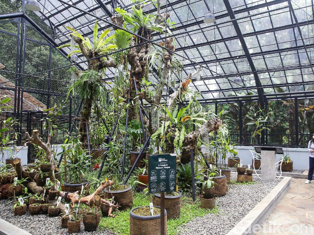 Potret Taman Tematik Baru di Kebun Raya Bogor