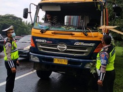 Pohon Tumbang di Tol Waru-Perak Timpa 2 Kendaraan