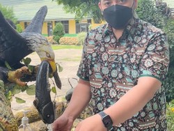 Siap Gelar PTM, Waket DPRD Jambi Minta Sekolah Patuhi Prokes