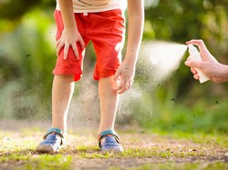 Memahami Perbedaan Demam Dengue dengan DBD