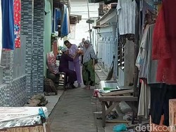 Penyelamatan Ara di Pasuruan Diwarnai Suara Tembakan