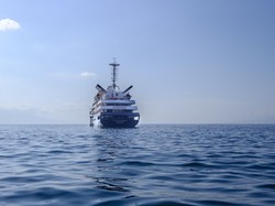 Tawaran Spesial! Berpesiar Ke Ujung Dunia dan Nonton Gerhana Matahari