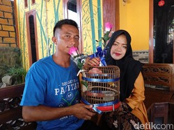 Unik, Pengantin di Ponorogo Ini Menikah dengan Mas Kawin Burung Kenari