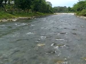 My Trip My Adventure: Ada Sungai Beraliran Panas dan Dingin di Sumut