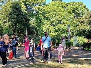 Warga Ramai Kunjungi Ragunan Pagi Ini, Anak di Bawah 9 Tahun Boleh Masuk