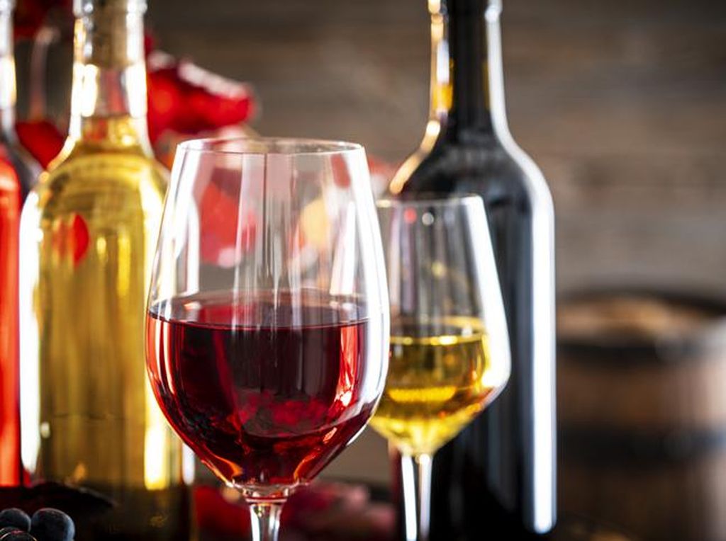 Niat Bikin Wine Ular, Pria di China Malah Kritis Kena Bisanya Niat Bikin Wine Ular, Pria di China Malah Kritis Kena Bisanya