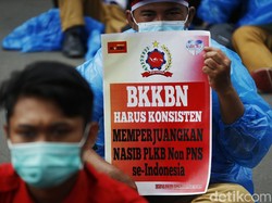 Tuntut Diangkat Jadi PNS, Petugas Lapangan KB Akan Turun Aksi