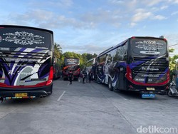 Bus PO Haryanto Bertabur Lampu-Boneka, Ini Alasannya