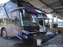 Lowongan Kerja PO Haryanto-Tempat Menginapnya Crazy Rich Arab