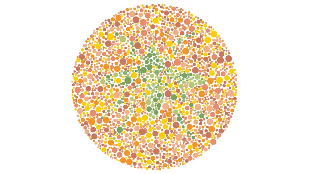 10 Tes Buta Warna Hewan: Menguji Penglihatan, Banyak yang Gagal Fokus!