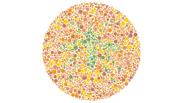 Tes Buta Warna, Bisa Tebak Siluet Hewan Ini Berarti Penglihatan Kamu Tajam