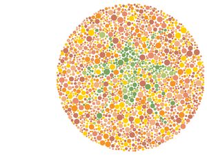 Bisa Lihat Semua Hewan di Sini? 10 Tes Buta Warna Ini Bikin Banyak Orang Salah Fokus!