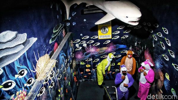 Ada Aksi Edukasi Selamatkan Laut di Sea World Ancol