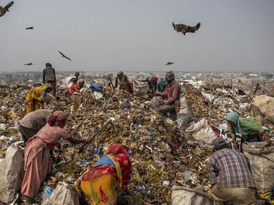 Asa Pemulung India Mendapatkan Vaksin Corona