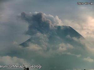 Gunung Merapi Erupsi, Keluarkan Awan Panas Sejauh 1 Km Gunung Merapi Erupsi, Keluarkan Awan Panas Sejauh 1 Km