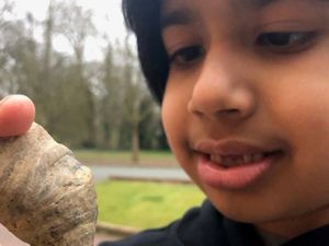 Bocah 6 Tahun Temukan Fosil Jutaan Tahun di Kebun Belakang Rumahnya