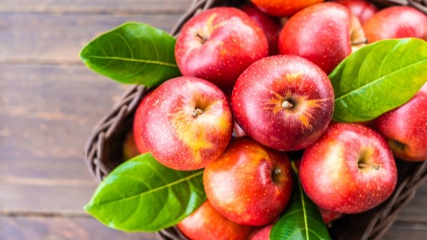 Buah apel/Freepik Buah apel.