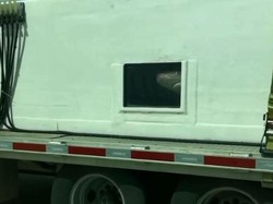 Kagetnya Wanita Ini, Lihat Ada Hiu di Jalan Tol Kagetnya Wanita Ini, Lihat Ada Hiu di Jalan Tol