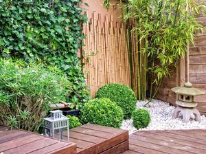Mau Buat Taman Estetik dan Nyaman di Rumah? Siapkan 4 Hal Ini Dulu Mau Buat Taman Estetik dan Nyaman di Rumah? Siapkan 4 Hal Ini Dulu