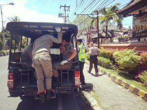 Seorang WN Denmark Ngamuk di Bali Diduga Stres