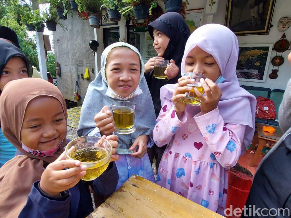 Menebar Jutaan Kebaikan Daun Ajaib dari Perbukitan Bandung