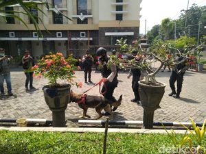 Gereja Santa Maria Tak Bercela Surabaya Disisir K9 Jelang Paskah Gereja Santa Maria Tak Bercela Surabaya Disisir K9 Jelang Paskah