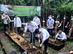 Ini Dia Emas Hijau buat Petani, Bisa Dibanderol Rp 2 Juta/Kg