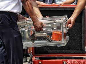 KNKT: Percakapan di Kokpit Sriwijaya Air SJ182 yang Jatuh Terdengar Jelas KNKT: Percakapan di Kokpit Sriwijaya Air SJ182 yang Jatuh Terdengar Jelas