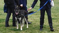 Duh, Anjing Joe Biden Gigit Staf Gedung Putih Lagi