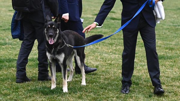 Duh, Anjing Joe Biden Gigit Staf Gedung Putih Lagi