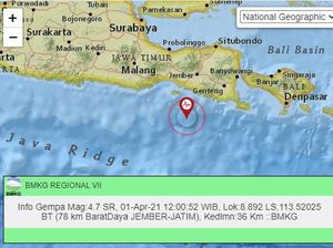 Tak Ada Laporan Kerusakan, Gempa Jember Hanya Terasa di Satu Kecamatan Tak Ada Laporan Kerusakan, Gempa Jember Hanya Terasa di Satu Kecamatan
