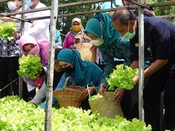 Kementan Nilai P2L Mampu Tingkatkan Kecukupan Pangan Masyarakat