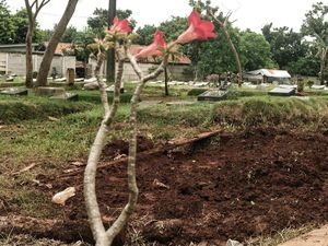 Penampakan Makam Zakiah Aini Penyerang Mabes Polri di TPU Pondok Ranggon